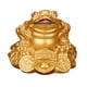 thumbnail image 3 of Rana Dinero Sapo Fortuna Zulema Jin Chan Chu Decoración de Feng Shui chino 5.5x4.8x3.8cm Oro, 3 of 7
