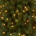 thumbnail image 2 of Árbol de Navidad, National Tree Company, North Valley Spruce, 5 pies, 2 of 5