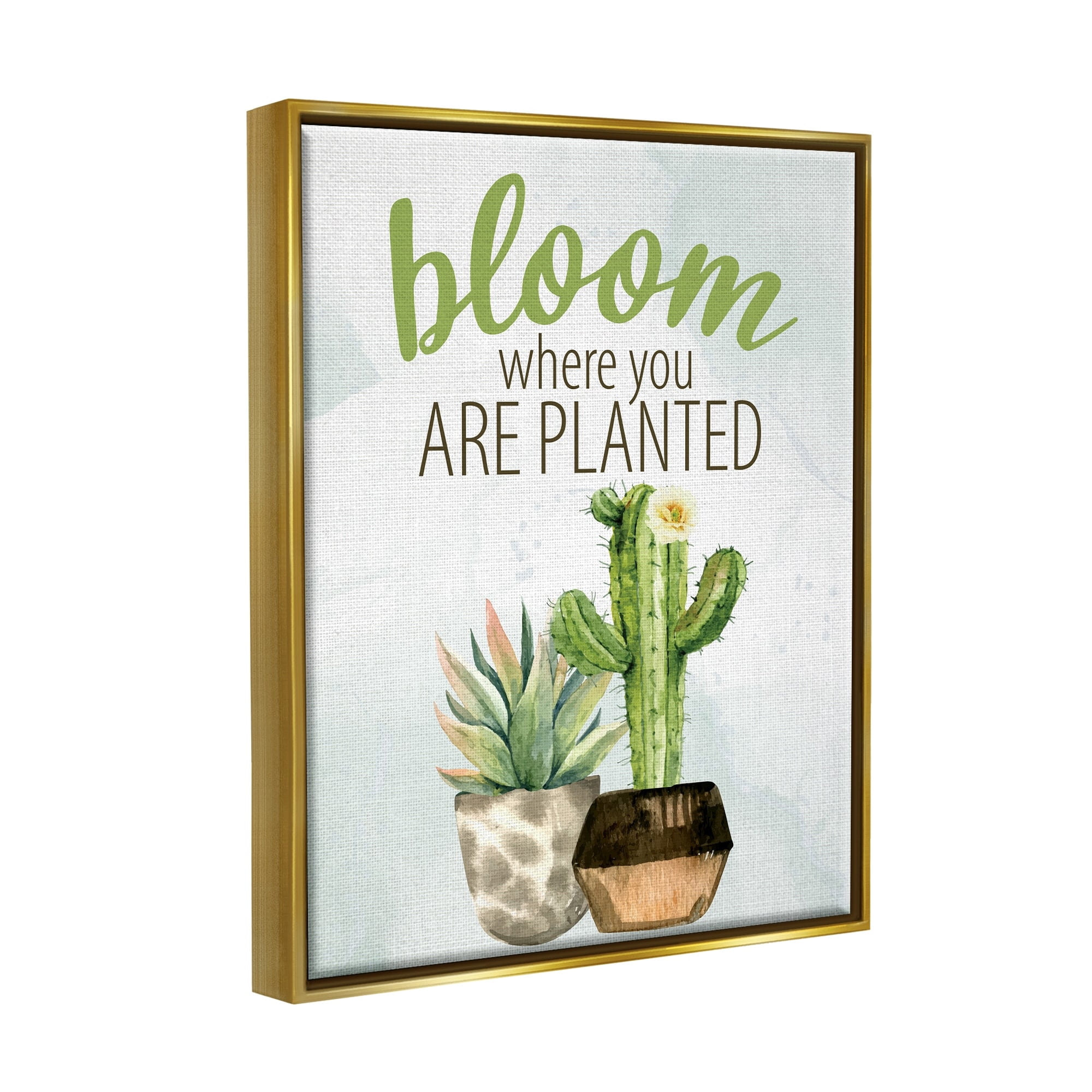 Stupell Industries Bloom Where You Are Planted Cactus Succulent Graphic Art Metallic Gold Floating Framed Canvas Print Wall Art, Design by Kim Allen