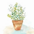 thumbnail image 2 of Coulter, Cynthia 12x12 White Modern Wood Framed Museum Art Print Titled - Let it Grow IX, 2 of 4