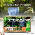 thumbnail image 1 of 1pack Natural Sphagnum Compressed Water Moss Orchid Gardening Plants Sphagnum, 1 of 4