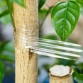 thumbnail image 3 of Ruban de Greffage Auto-Adhésif pour Arbre Fruitier de Jardin, Film Extensible Transparent, 3 of 7