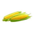 Homestock NeoClassical Nostalgia Corn Bags For NeoClassical Nostalgia Kitchen Caddie 400 Bags