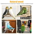 thumbnail image 2 of Bird Parakeet Mirror for Cage, Parrot Perch Stand,Wooden Hummingbird Swing Toy,Parakeet Accessories for Cockatiels Conure Finch Lovebird Canary African Grey Macaw, 2 of 8