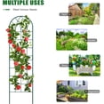 thumbnail image 6 of Slsy 4 Pack Metal Garden Trellis for Cllimbing Plants Outdoor, Flowers Tomato Cucumber Rose Vines Vegetable, Metal Coated Rustproof Garden Trellis for Patio, 60" x 16", 6 of 9
