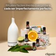 thumbnail image 3 of Aceite de Argan Organico Cliganic, 100% Puro | para | de cab Cliganic Cliganic, 3 of 7