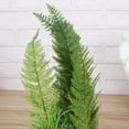 thumbnail image 3 of AURARMLET Adorno De Planta Simulada Para Terrario Con Refugio Para Reptiles, 3 of 5