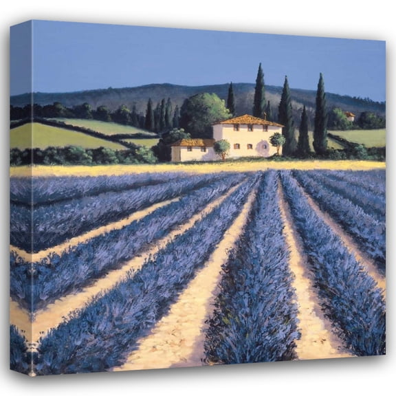 David Short 20x20 Gallery Wrapped Canvas Wall Art Titled - Colors of Summer