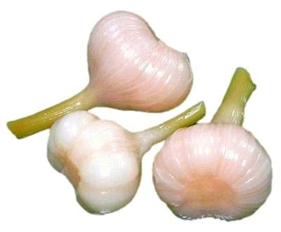 Pickled Garlic Whole in Brine, Crispy and Fresh, 1 Glass Jar 24oz (700g)