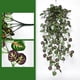 thumbnail image 1 of Cortinas de pared de vegetación artificial, enredaderas decorativas de plantas de interior, guirnaldas de follaje artificial con hojas de plástico, 100 cm de longitud para decoración del hogar, 1 of 8