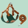 thumbnail image 2 of Small Dog Harness and Leash Set Mesh Dog Harness for Small Dogs Leash and Harness Quick Release Buckle Green Extra Large 1 Pack, 2 of 5