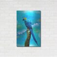thumbnail image 3 of Luxe Metal Art 'Blue Parrot' by Ata Alishahi, Metal Wall Art, 24"x36", 3 of 9