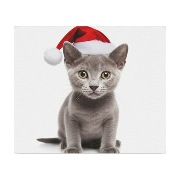 DistinctInk Mouse Pad - 1/4" Foam Rubber - Korat Kitten