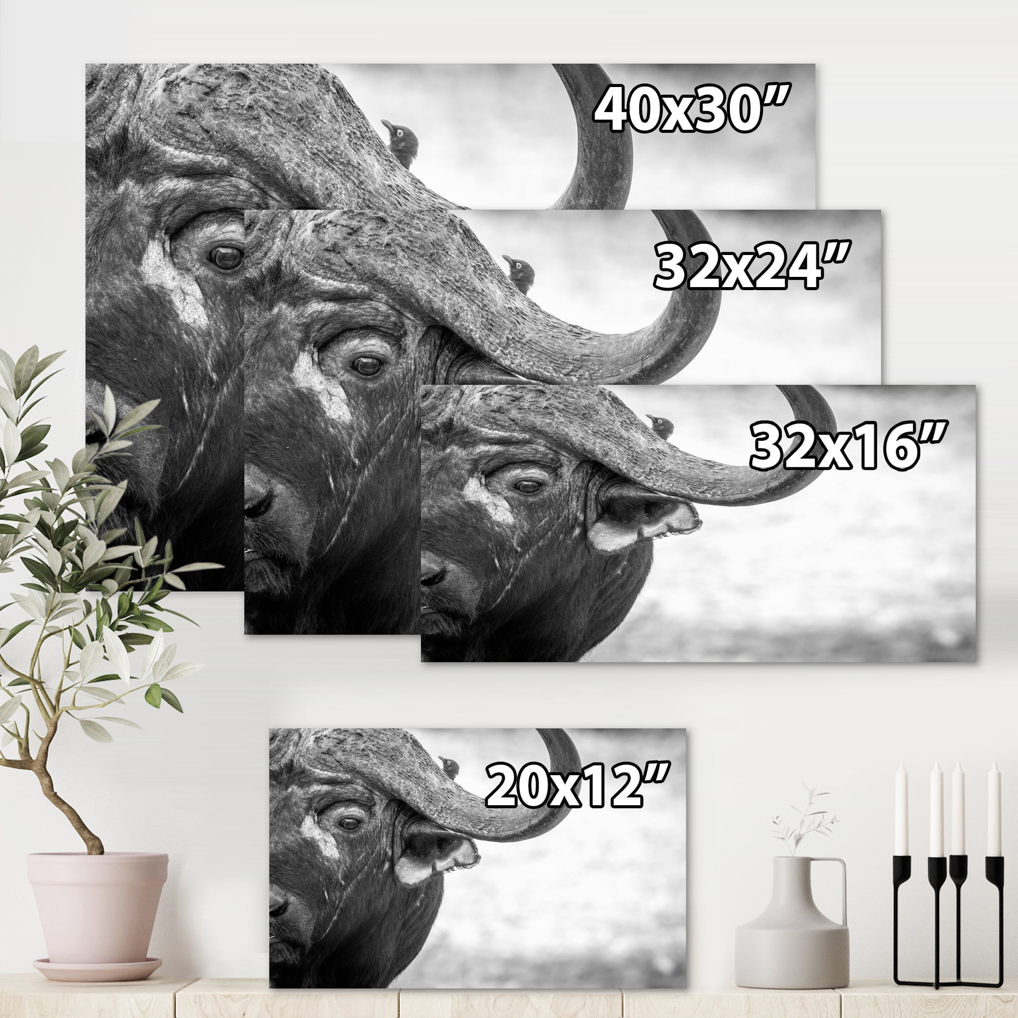 Designart ' Black and White Portrait Of Buffalo III ' Farmhouse Canvas Wall Art Print