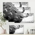 thumbnail image 4 of Designart ' Black and White Portrait Of Buffalo III ' Farmhouse Canvas Wall Art Print, 4 of 4