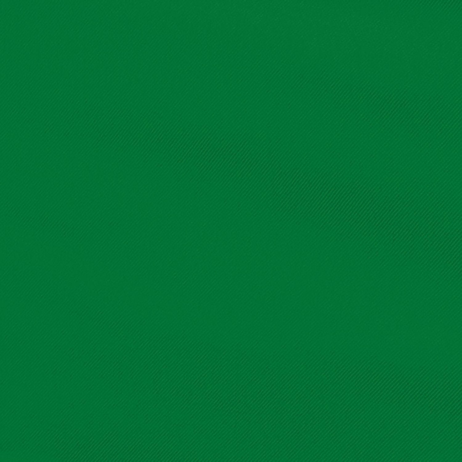 RIO Gear Bleacher Boss Companion Stadium Seat with Pouch - Green