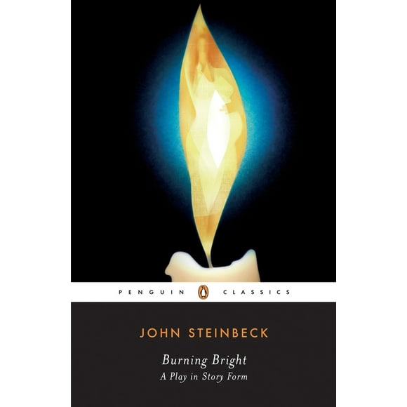 Pre-Owned Burning Bright: A Play in Story Form (Paperback) 014303944X 9780143039440