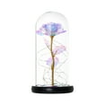 thumbnail image 1 of DPTALR Romantic Glass Rose Flower Wedding LED Light Decoration Valentine's Day Gift, 1 of 1