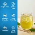 thumbnail image 4 of Syruvia Green Tea Sugar Free Cocktails Syrup 25.4 Fl Oz With Pump, 4 of 7