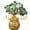 Green 3U4, variant on Crystal Money Tree Feng Shui Bonsai For Money Money Wealth And Success Home Feng Shui Decorations Citrine Tree, Xinsrenus Under $5! Crystal Money Tree Feng Shui
