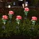 thumbnail image 1 of Decoraciones navideñas, adornos navideños, regalos navideños, decoración de temporada, luces solares de suelo con rosas de simulación, impermeables para exteriores, para jardín, césped, luz LED de reg, 1 of 9