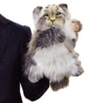 thumbnail image 3 of Hand Puppet - Hansa - Pallas Cat 15.75" Plush New 7519, 3 of 3