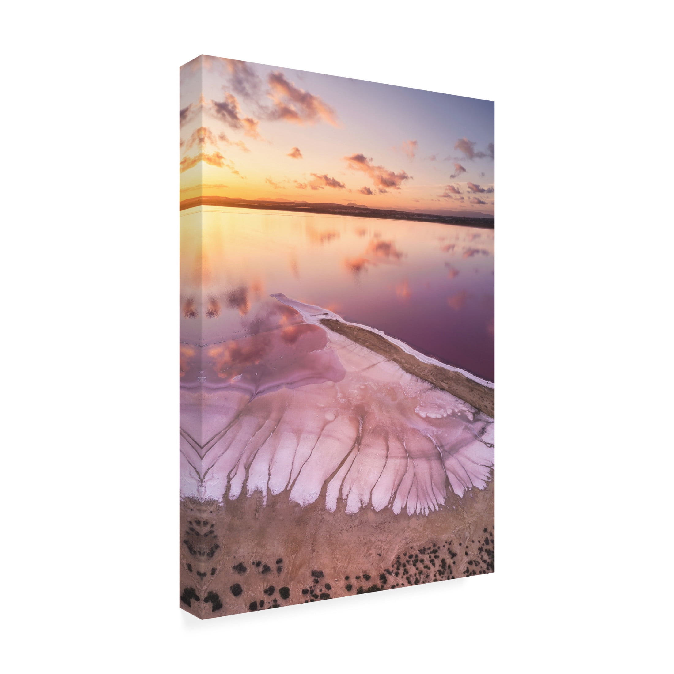 Canvas Wall Art - Antonio Carrillo Lopez 'Pink Lake' Wall Art for Living Room, Bedroom, or Office D?cor by Trademark Fine Art - 16 x 24 Inches