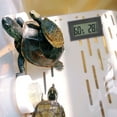 thumbnail image 1 of Minkissy 2Pcs Digital Hygrometer Hygrothermograph ABS Black for Indoor Breeding Pet Monitoring, 1 of 7