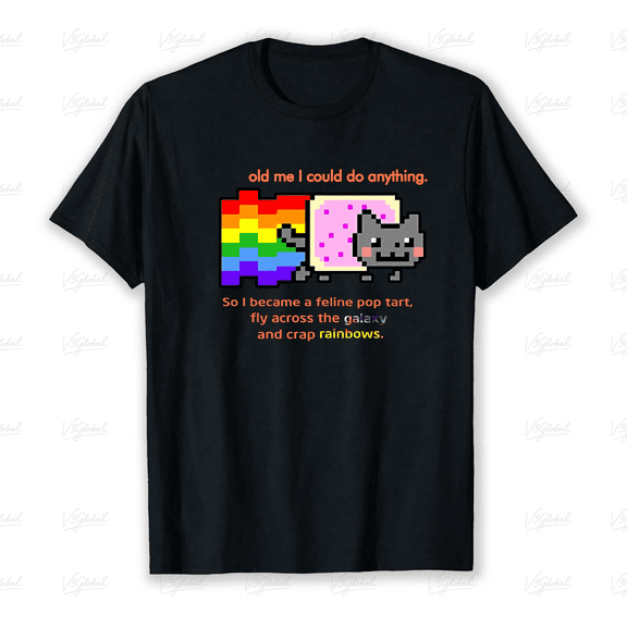 Nyan Rainbow Cat Pop Tart Flying Space Meme Internet Culture Unisex T-Shirt V80199, up to size 5XL