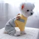 thumbnail image 5 of Mono Con Falda, Dulce Y Femenino, Para Perro, Primavera/vera, 5 of 8