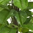 thumbnail image 2 of Nearly Natural 6583 52 Po. Grande Feuille Philodendron Plante en Soie-Toucher Réel, 2 of 4