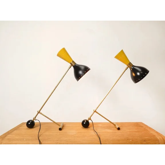 Pair of Italian conical mid century style table lamps Desk lamp Adjustable Lamp