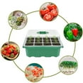 thumbnail image 4 of Plastic Seedling Box, Durable Plant Nursery Box 12 Hole Seed Starter Kit,Plant Propagator Tray Set, 4 of 8