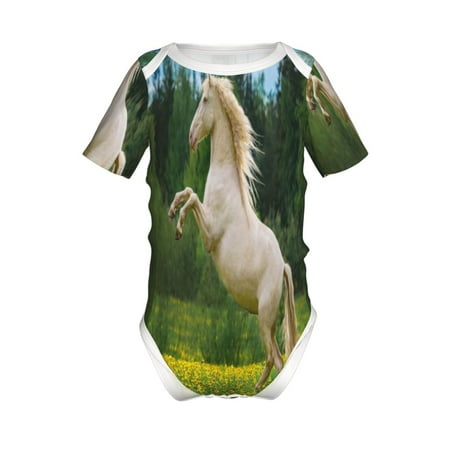 

Junzan Horse Rearing Up In The Field Print Short-Sleeve Baby Climbing Clothes Bodysuits for Infant One-Piece for Baby Boys & Girls Baby Clothes Baby Romper with Snap Closure-3 Months