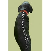 Short Leash : A Memoir of Dog Walking and Deliverance (Paperback)