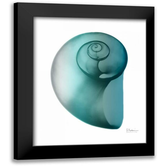 Koetsier, Albert 12x14 Black Modern Framed Museum Art Print Titled - Water Snail 2