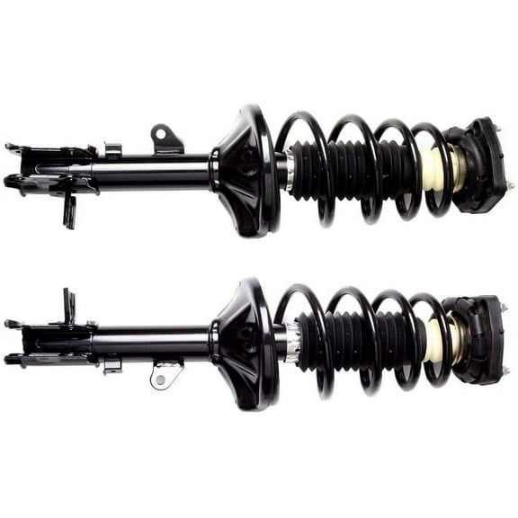 ECCPP Complete Struts Spring Assembly Shock Absorber for 2000 2003 2004 2005 2006 for Hyundai Elantra (Rear Pair)