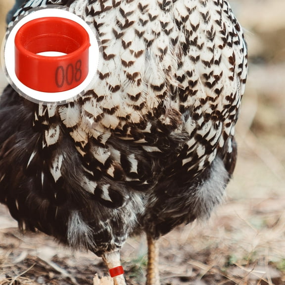 Milisten 100Pcs Poultry Identification Bands Red Plastic Chicken Ankle Bands 1.3x0.8in