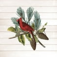 thumbnail image 2 of Kimberly, Allen 15x15 White Modern Wood Framed Museum Art Print Titled - Winter Bird 4, 2 of 4