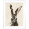 thumbnail image 2 of Art.com European Hare II Art Print by Ethan Harper, White Frame Wall Art, 23" x 29", 2 of 5