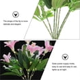 thumbnail image 4 of Solar Lily Flower Lights Walkway Garden Outdoor Plastic Waterproof Pink Lighting 1Pack, 4 of 4