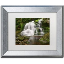 Trademark Fine Art 'Elakala Falls' Canvas Art by Michael Blanchette Photography, White Matte, Silver Frame