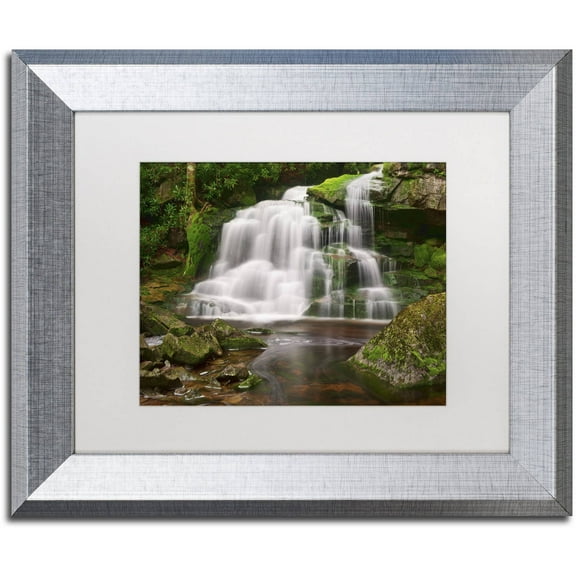 Trademark Fine Art 'Elakala Falls' Canvas Art by Michael Blanchette Photography, White Matte, Silver Frame
