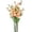 Champagne, variant on Artificial Iceberg Rose 6pcs 29 Inch Long Stem Rosa Korbin Flower for Wedding Bridal DIY Bouquet Home Décor Centerpiece(Pinkish White)