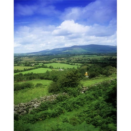 High Angle View of Fields On A Landscape Derrynamuck County Wicklow Republic of Ireland Poster Print by The Irish Image Collection - 12 x 15