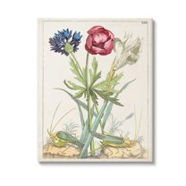 Stupell Industries Blooming Bulbs & Grasshoppers Botanical & Floral Painting Gallery Wrapped Canvas Art Print Wall Art, 30 x 40