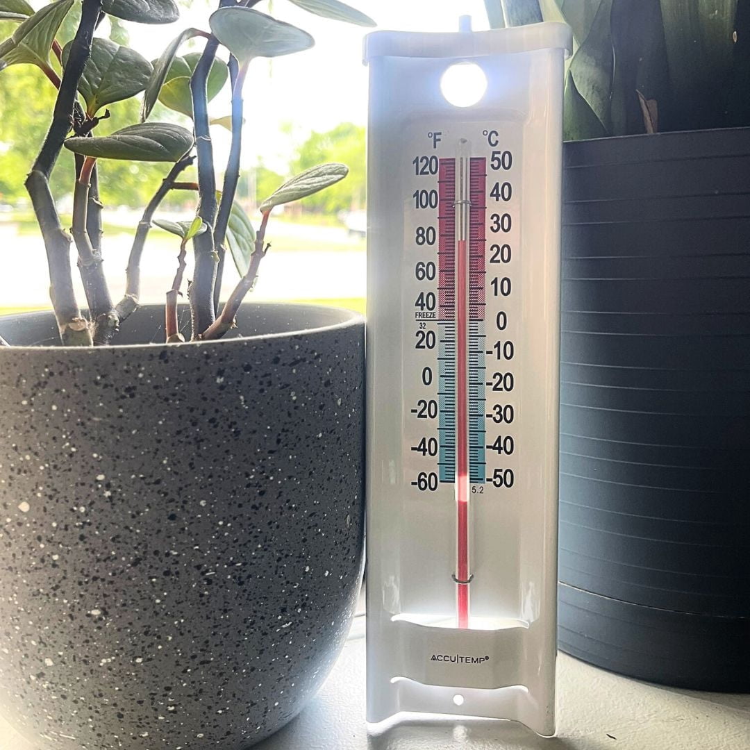 Accutemp thermomètre intérieur ou extérieur, support inclus, lectures de température en °C et °F, Blanc