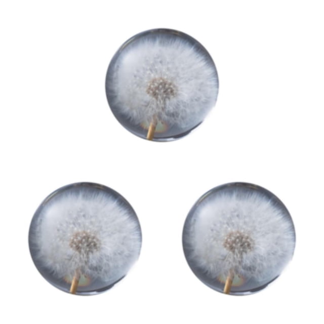 Destyer Decorative Dreamball With Flower Creating Enchanting Resin Gift Dandelions 9cm 3Set