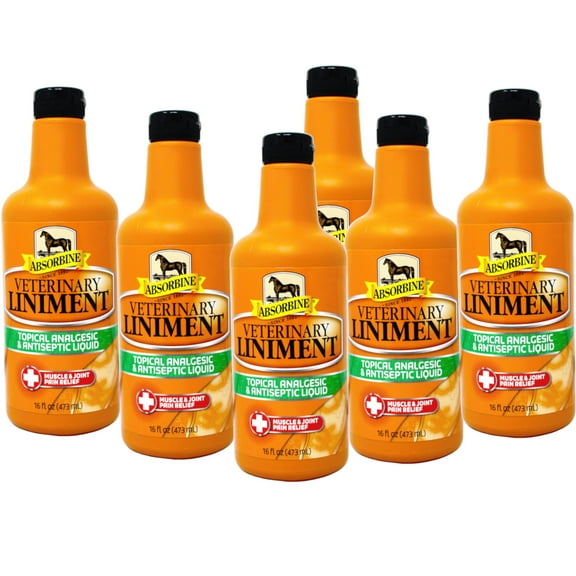 Absorbine Topical Analgesic & Antiseptic Veterinary Liniment Muscle & Joint Pain Relief, 16 oz - 6 Pack