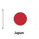 thumbnail image 1 of 2026 Flag, 1 of 5